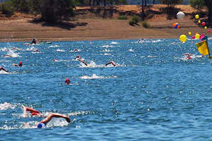 berryessa lake masters swim open water