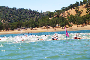 berryessa lake sponsors swim open water